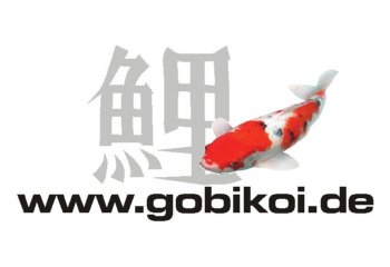 www.gobikoi.de